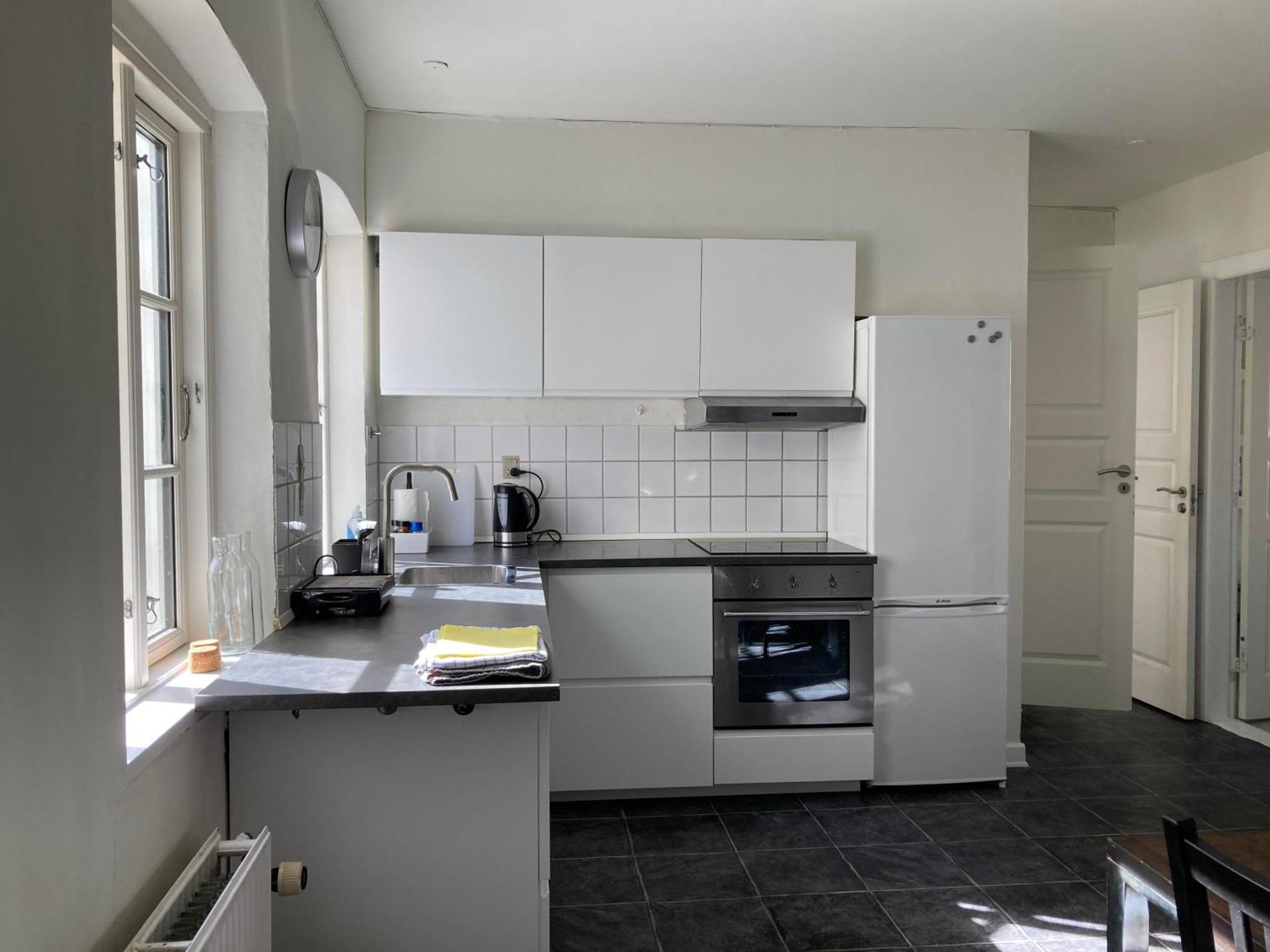 Professor Labri Apartments Одензе Екстериор снимка